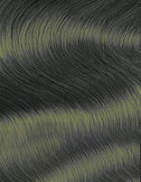 Schwarzkopf Igora Royal Permanent Hair Color Creme Dye Pro