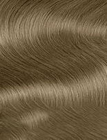 Schwarzkopf Igora Royal Permanent Hair Color Creme Dye Pro