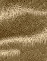 Schwarzkopf Igora Royal Permanent Hair Color Creme Dye Pro