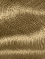 Schwarzkopf Igora Royal Permanent Hair Color Creme Dye Pro