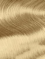 Schwarzkopf Igora Royal Permanent Hair Color Creme Dye Pro