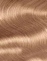 Schwarzkopf Igora Royal Permanent Hair Color Creme Dye Pro