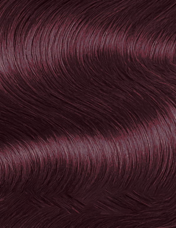 Topchic Hair Color 2A Blue Black 8.6 oz