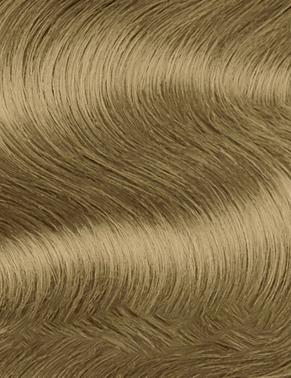 Topchic Hair Color (8.6 oz. canister)