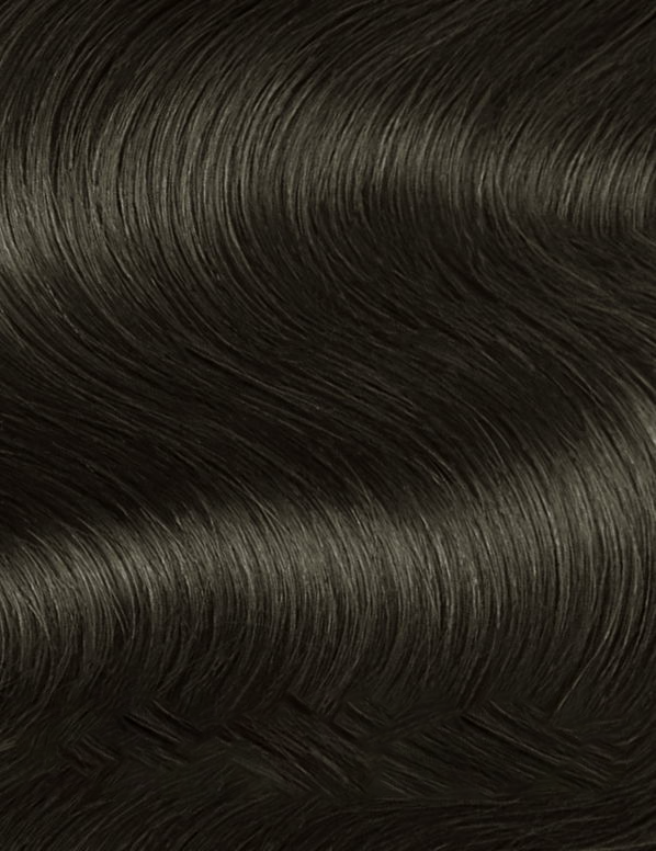 Topchic Hair Color 2A Blue Black 8.6 oz