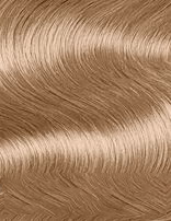 Igora Royal Highlifts | Ultra Blonde & Special Blonde Shades